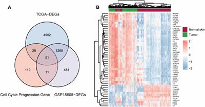 CDCA3 is a prognostic biomarker for cutaneous melanoma and is connected with immune infiltration